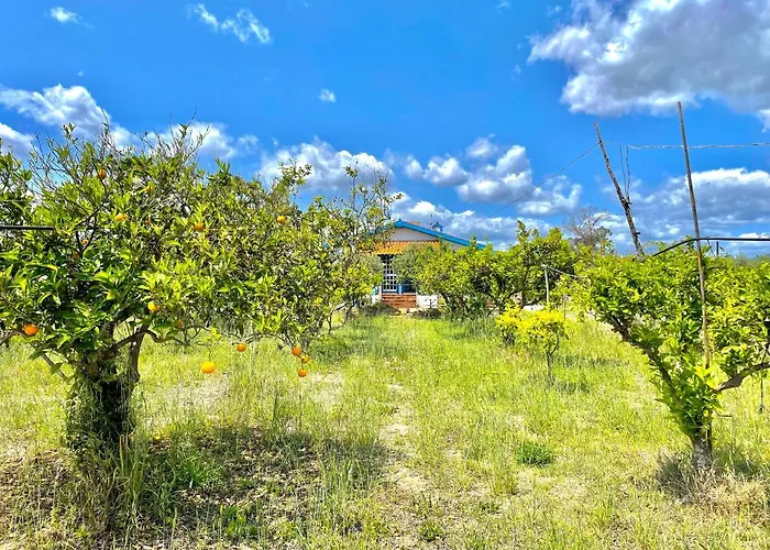 Casa Al Mare * Бари-Сардо